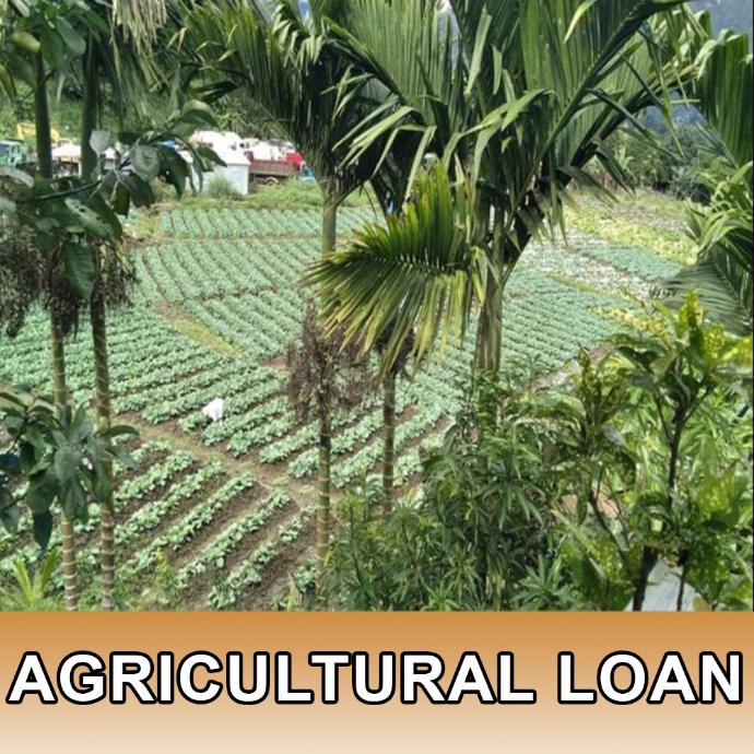 Agricultural Loan