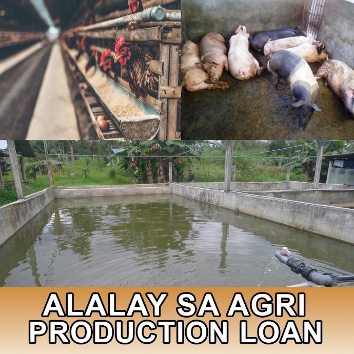 Alalay sa Agri Production Loan